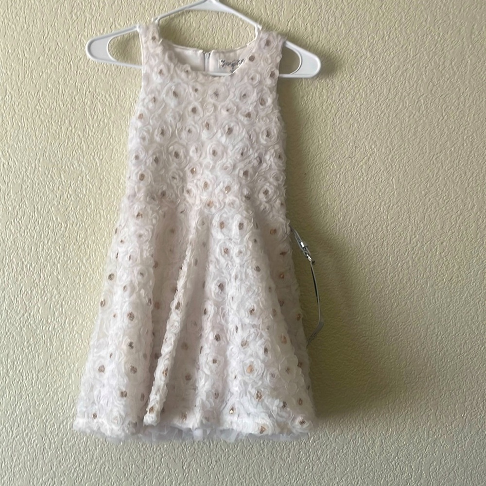A ruffle flower kids dress